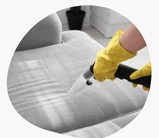 Upholstery Cleaning Service Lara