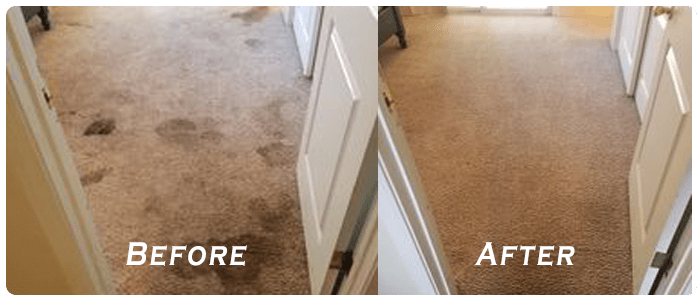 Eco-Friendly Alternative to Keep Carpet Clean