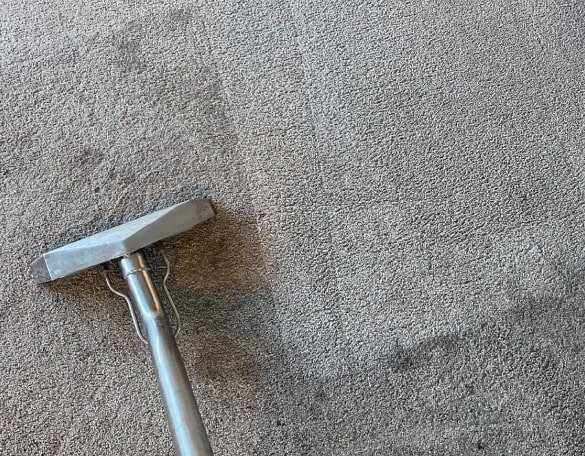carpet cleaning lara
